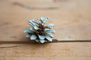 çam kozalağı ahşap zemin üzerinde