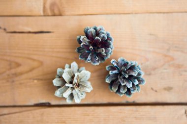 çam kozalakları üzerindeki ahşap arka plan