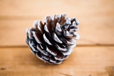 çam kozalağı ahşap zemin üzerinde