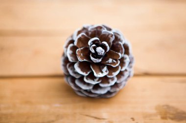 çam kozalağı ahşap zemin üzerinde