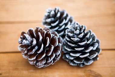 çam kozalakları üzerindeki ahşap arka plan