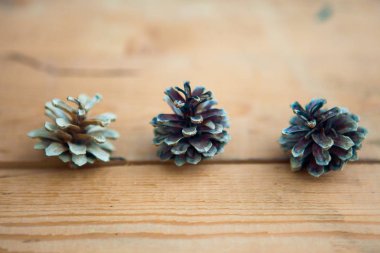 çam kozalakları üzerindeki ahşap arka plan