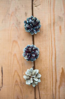 çam kozalakları üzerindeki ahşap arka plan