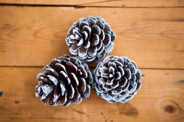 çam kozalakları üzerindeki ahşap arka plan