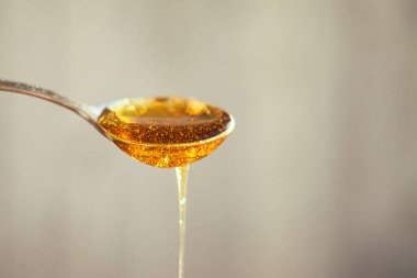 Kaşık gelen damlayan bal