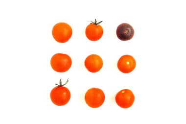 Neşeli domates beyaz arka plan, yaratıcı düzeni izole