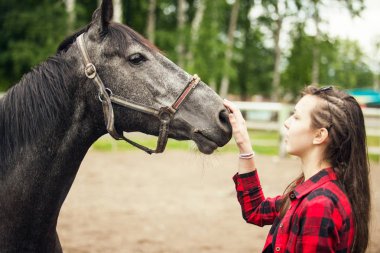 Genç kız ve siyah at, yaklaşın.