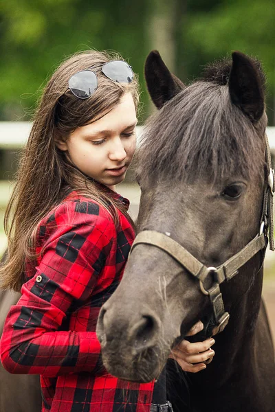 小女孩和黑马 靠近点 年轻姑娘和黑马的画像 — 图库照片