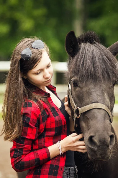 小女孩和黑马 靠近点 年轻姑娘和黑马的画像 — 图库照片