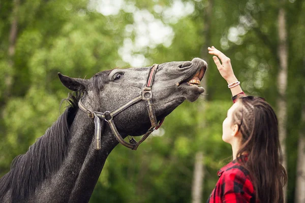 Jong Meisje Zwart Paard Close Jong Meisje Voeden Haar Zwart — Stockfoto