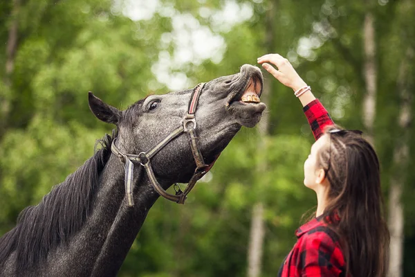 Ragazza Cavallo Nero Vicino Giovane Ragazza Che Alimenta Suo Cavallo — Foto Stock