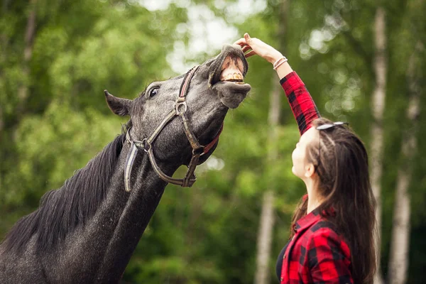 Młoda Dziewczyna Czarny Koń Zbliżenie Młoda Dziewczyna Karmi Czarnego Konia — Zdjęcie stockowe