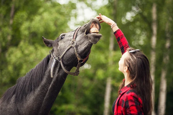 Mladá Dívka Černý Kůň Zblízka Mladá Dívka Krmení Její Černý — Stock fotografie