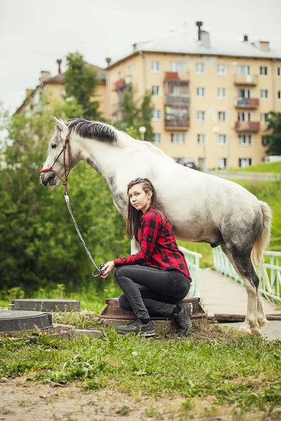 Young Girl Her Horse — Stock Photo, Image