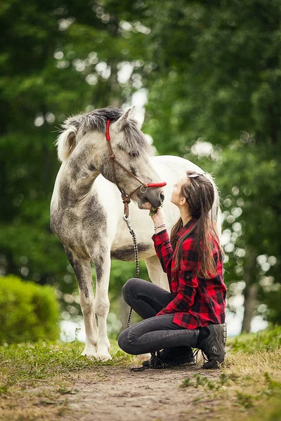 Chica Joven Con Caballo —  Fotos de Stock