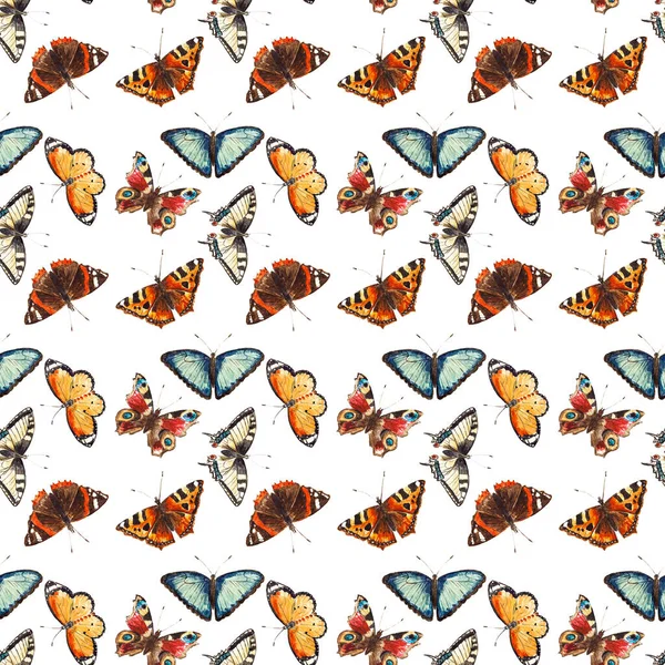 Modèle Sans Couture Avec Des Papillons Colorés Isolés Sur Fond — Photo