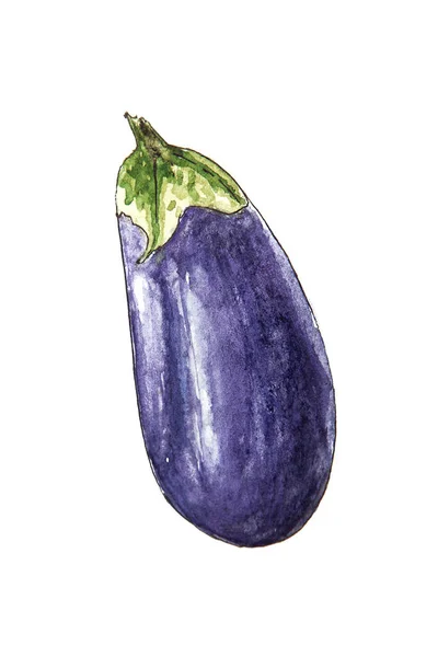 Akvarell Ritning Aubergine Eller Aubergine Isolerad Den Vita Bakgrunden Illustration — Stockfoto