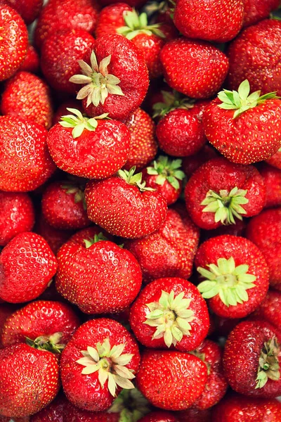 Strawberry texture. Background with red strawberries