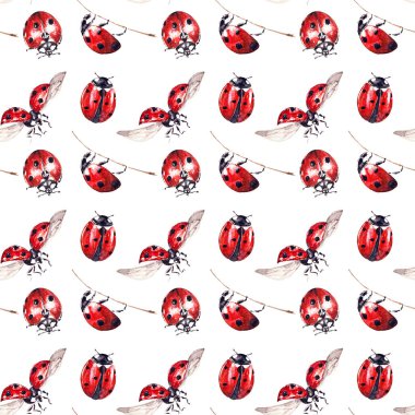 Beyaz arka planda izole edilmiş uğurböceği desenli kusursuz desen. Zeki bayan böcek. Güzel uğur böceğiyle suluboya.