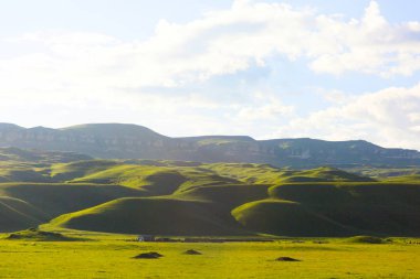 Yeşil tepelerin güzel manzarası. Vahşi doğa. Dağları