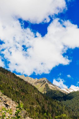 Dağların güzel manzarası, orman ve mavi gökyüzü. Vahşi doğa.