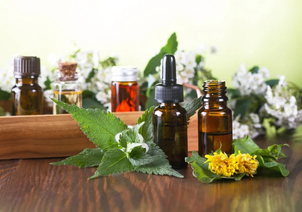 Aceites Esenciales Para Aromaterapia — Foto de Stock
