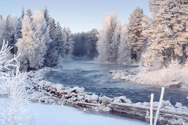 Immagine Foresta Invernale Con Fiume Paesaggio Innevato Immagine Alta Risoluzione Immagine Stock