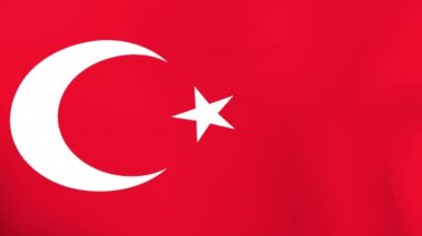 Türk bayrakları rüzgarda sallayarak