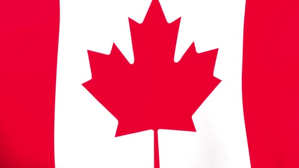 Kanada Nın Ulusal Bayrağı Rüzgar Sallıyor — Stok video