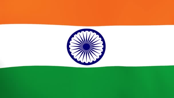 National Flag India Waving Wind — Stock Video
