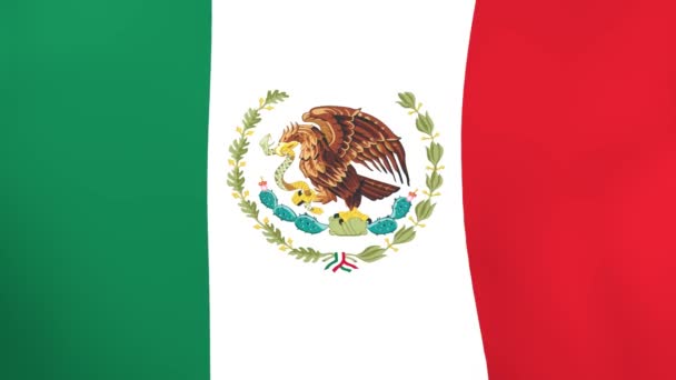 Bandera Nacional México Ondeando Con Viento — Vídeos de Stock