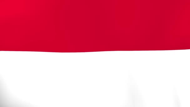 Bandeira Nacional Monaco Acenando Vento — Vídeo de Stock