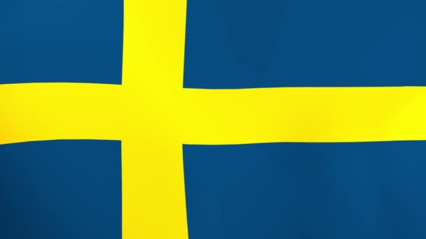 Swedish Flag Waving Wind — Stock Video