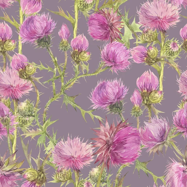 Devedikeni alan otlar ile Çiçek dikişsiz desen. El boyaması suluboya illüstrasyon.