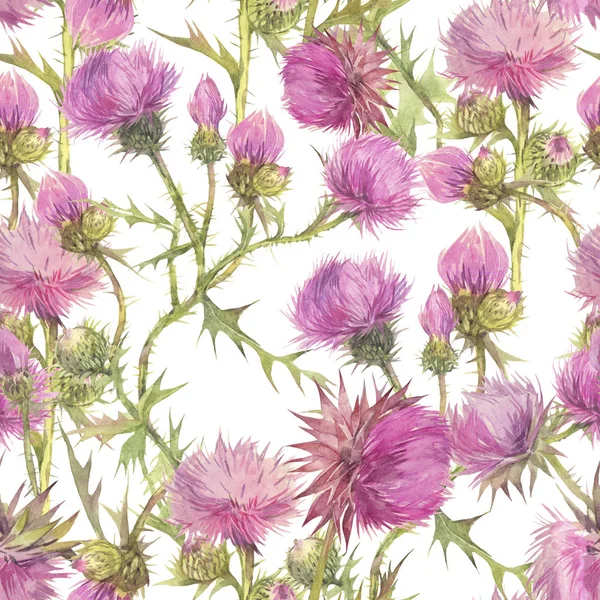 Devedikeni alan otlar ile Çiçek dikişsiz desen. El boyaması suluboya illüstrasyon.