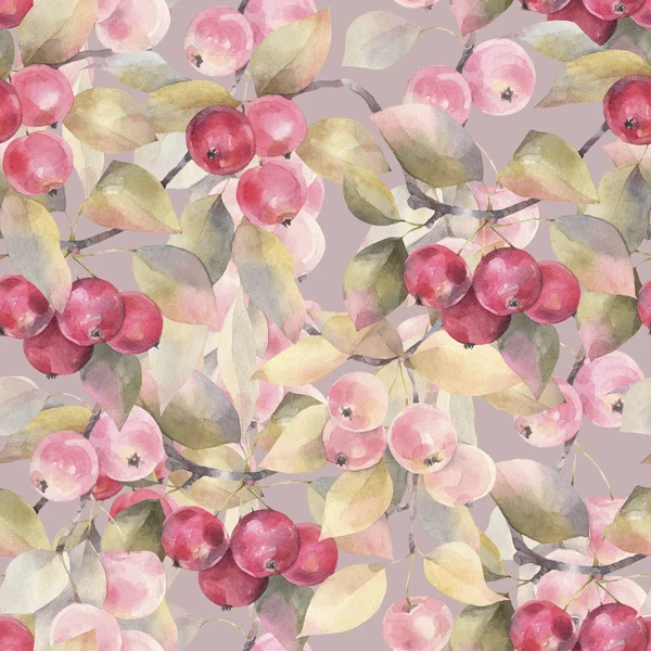 El boyaması suluboya illüstrasyon. Yabani elma ile meyve dikişsiz desen.