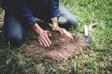 Dünya çevre günü ağaçlandırma, genç adamın elleri bitki edildi