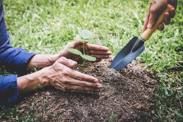 Światowy Dzień Środowiska ponowne zalesianie, Ręce młodego człowieka pomaga nam — Zdjęcie stockowe