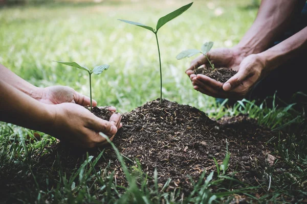 World environment day reforesting, Hands of young man helping we