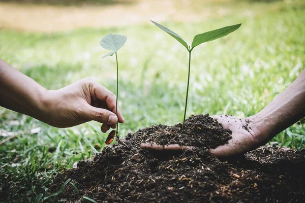 Día Mundial del Medio Ambiente reforestación, Manos de joven ayudando a nosotros —  Fotos de Stock