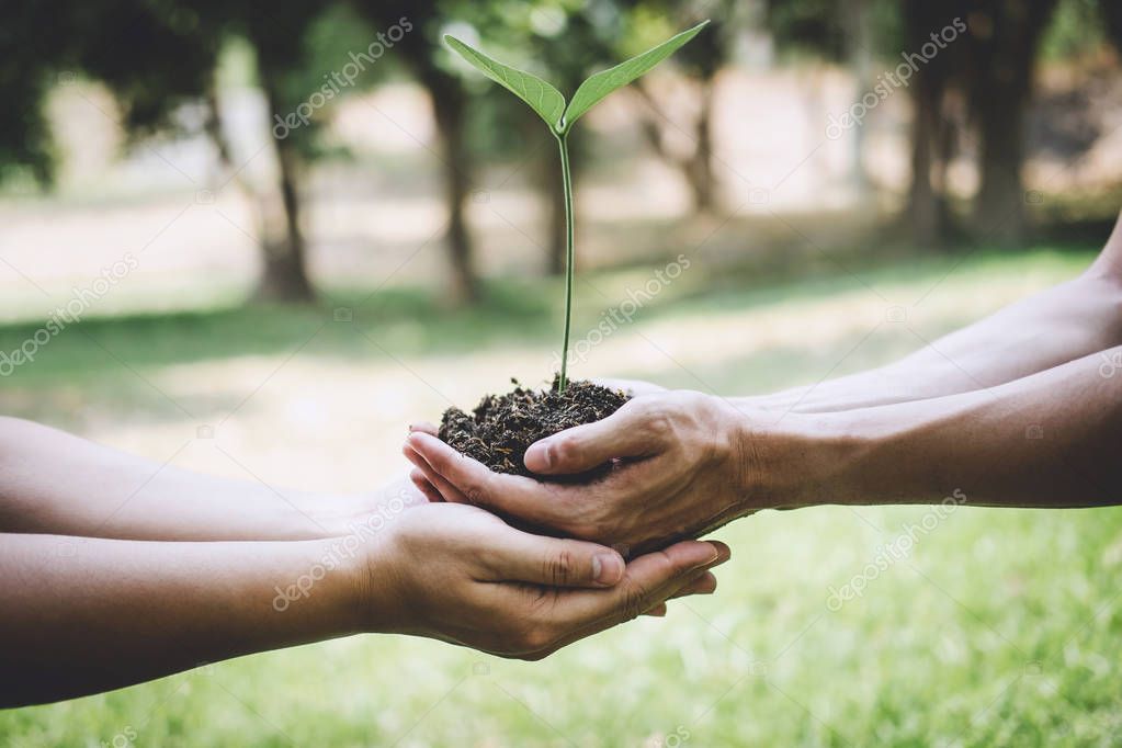World environment day reforesting, Hands of young man helping we