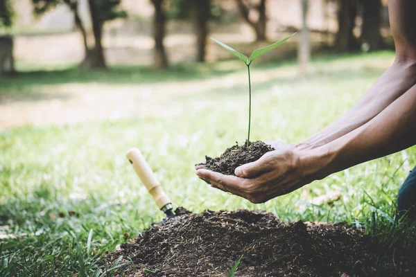 Día mundial del medio ambiente reforestación, Las manos de los jóvenes eran plantas —  Fotos de Stock