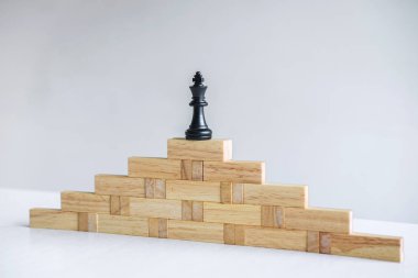 Liderlik satrancı ve çarpışma stratejisi