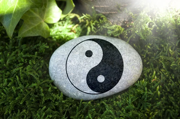 Grauer Stein Auf Moos Wald Liegend Mit Yin Yang Symbol — Stockfoto