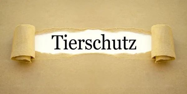 Паперової Роботи Німецьке Слово Благополуччя Тварин Tierschutz — стокове фото