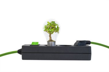 Bir ampul ve küpleri bir ağaç olan Tak çubuk yeşil gitmek