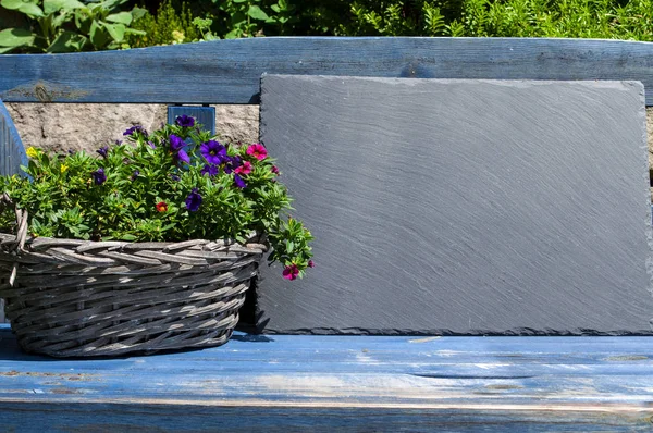 Chalkboard with plants on blue vintage bank in the garden