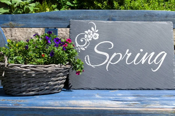 Chalkboard Garden Flowers Spring Time — Stock Photo, Image