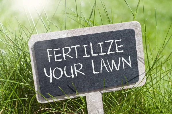 Kara tahta çim ile döllemek için çim