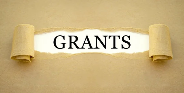 Lucrarea Hârtie Grant Guvernamental Pentru Finanțarea Înființării Unei Noi Întreprinderi — Fotografie, imagine de stoc